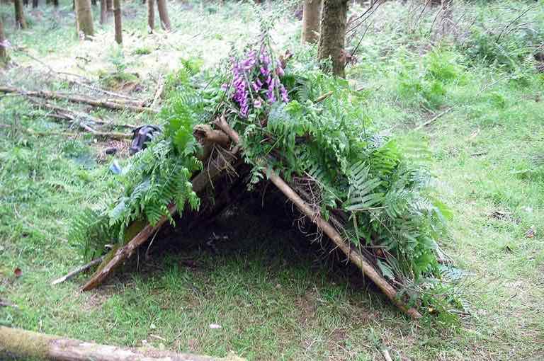 Stage de survie extrême en montagne