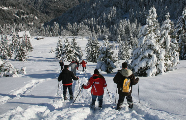 groupe de personnes en raquette lors d'un stage de survie en hiver